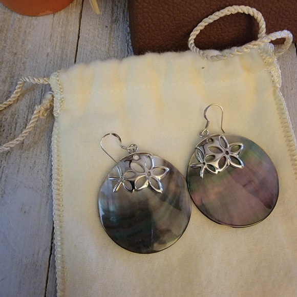 NIB Amanda Sterett Iredecent Earrings - Picture 2 of 8